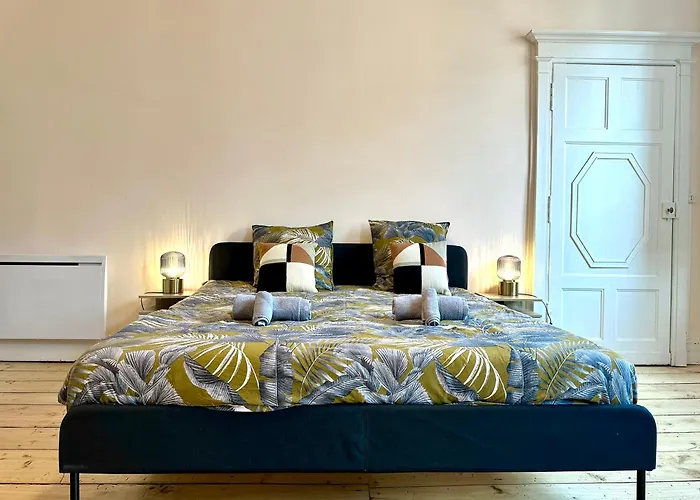 Grand Appartement Standing Lit King Size Capitole